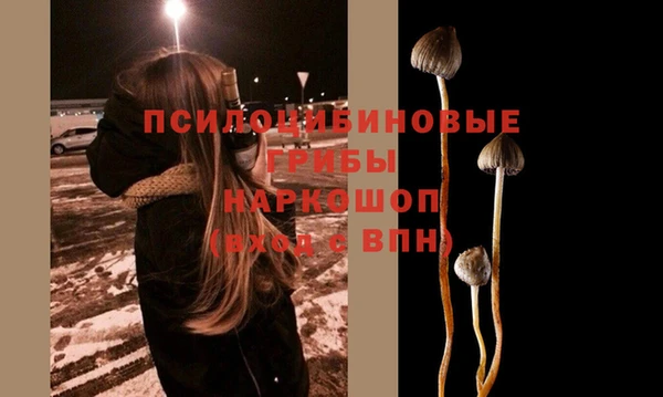амф Ладушкин