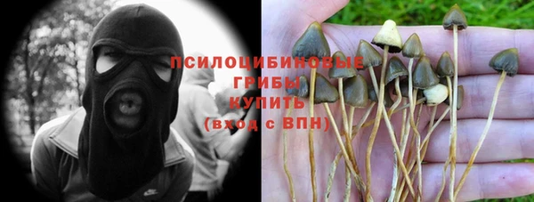 амф Ладушкин