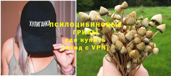 амфетамин Лабытнанги